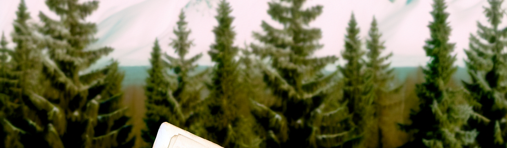 рефинансирование кредита в новосибирске